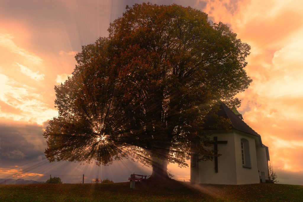 Finding Sanctuary